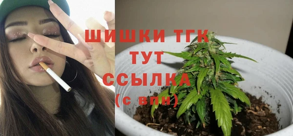 крисы Янаул