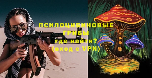 шишки Магадан