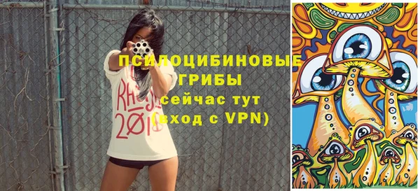шишки Магадан