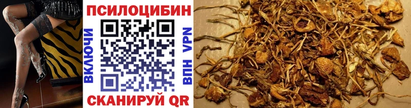 Псилоцибиновые грибы прущие грибы  Нальчик 