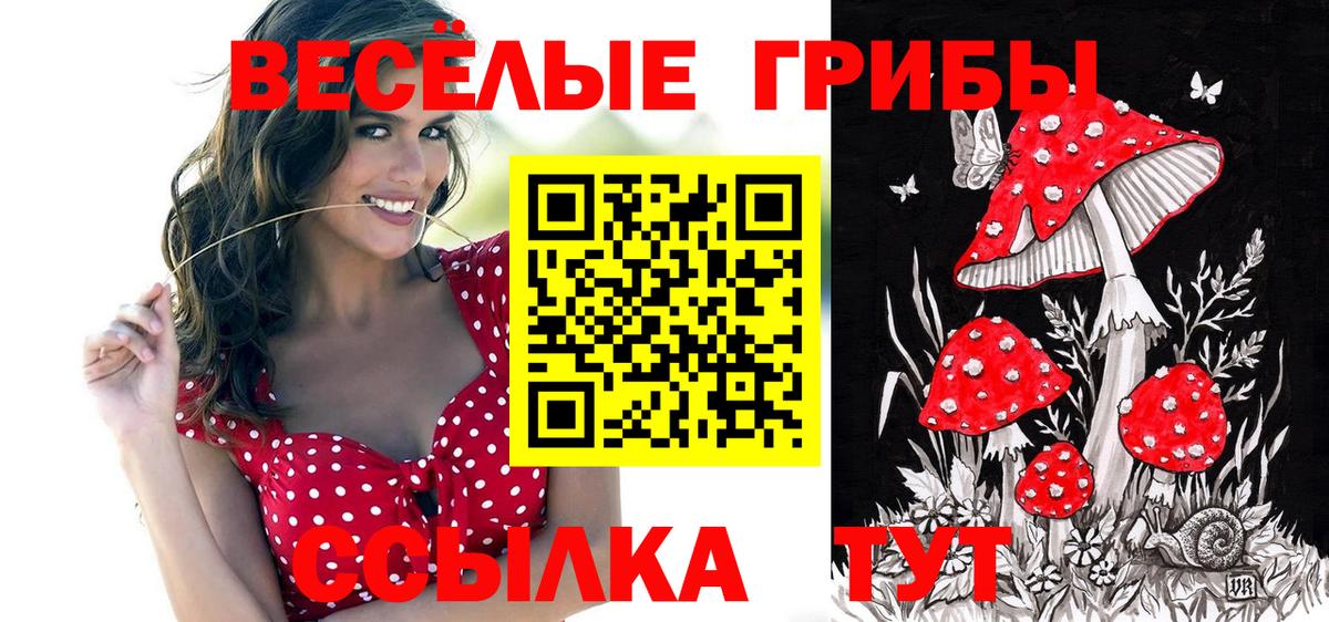 Псилоцибиновые грибы GOLDEN TEACHER  Вход с VPN  Псилоцибиновые грибы Psilocybe  Нальчик 
