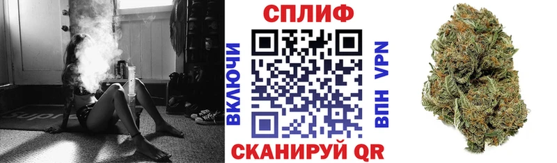 Бошки марихуана индика  купить закладку  Нальчик 